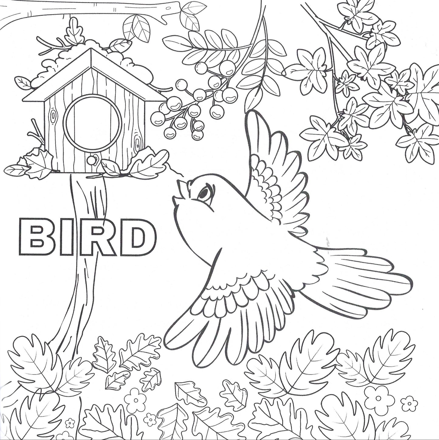 Animals in the Quran