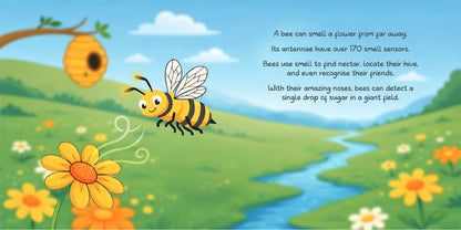 Wonders in the Bees