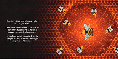 Wonders in the Bees