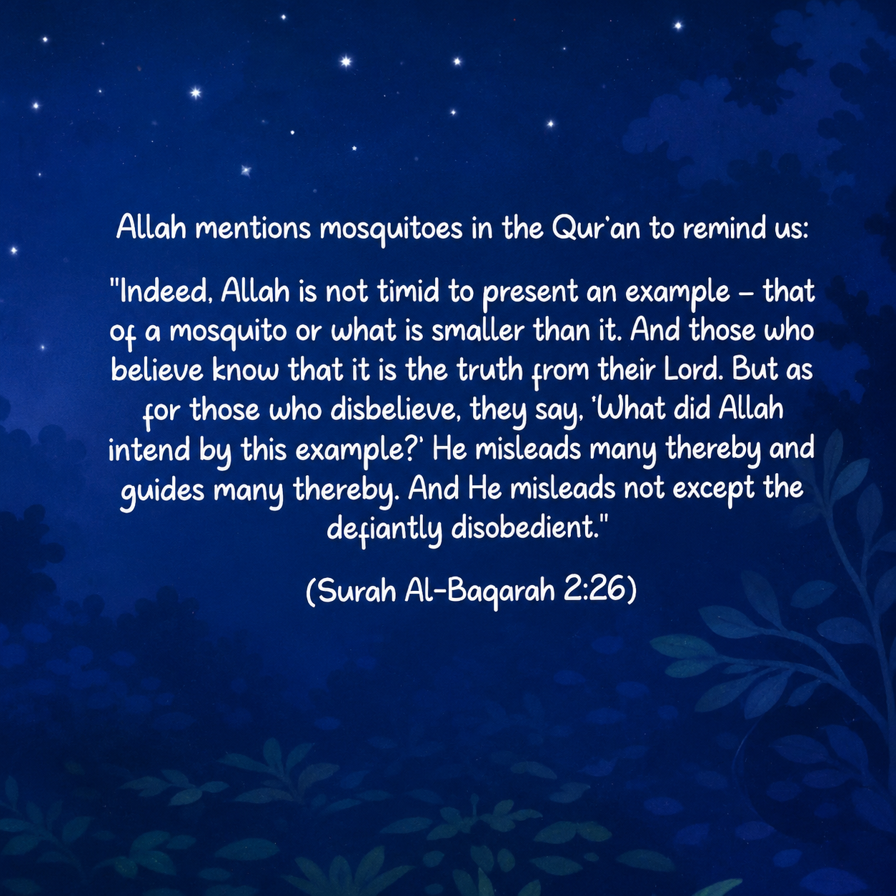 Wonders in the Mosquito