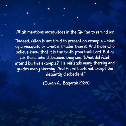 Wonders in the Mosquito