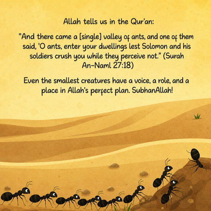 Wonders in the Ants