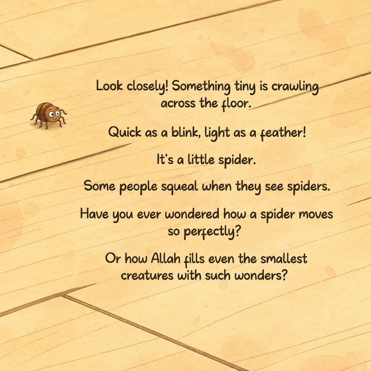 Wonders in the Spider