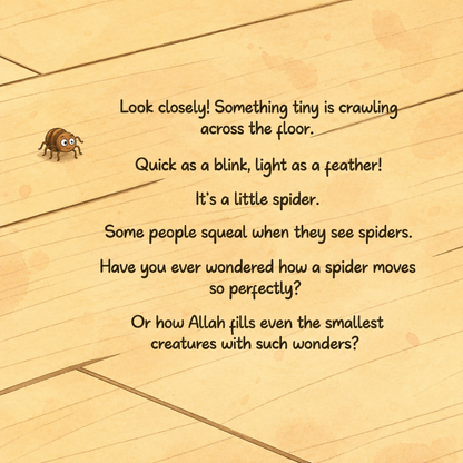 Wonders in the Spider