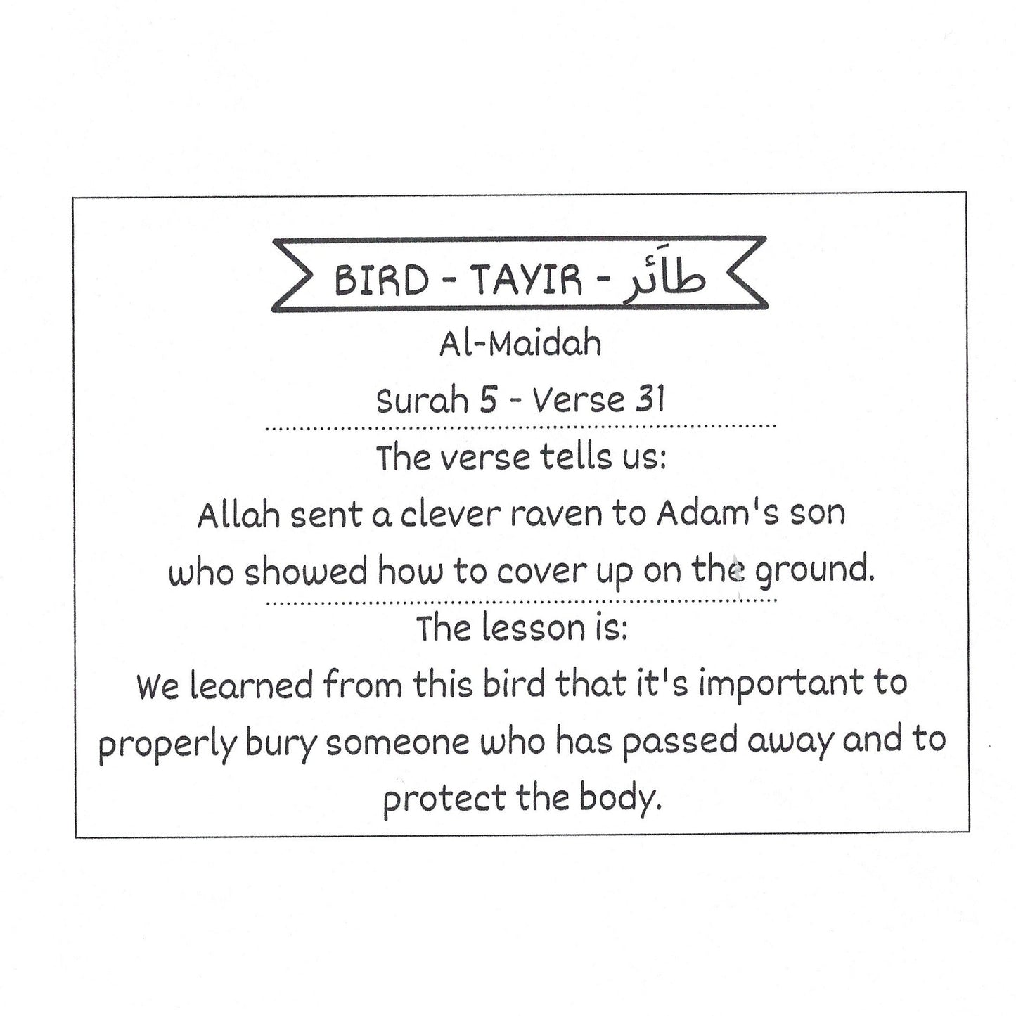 Animals in the Quran