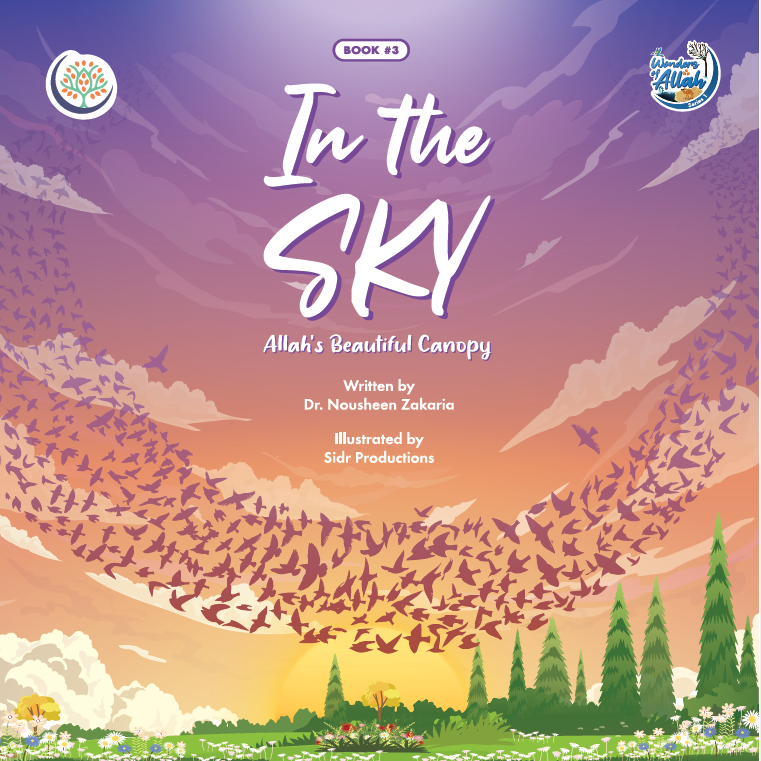 In The Sky - Allah's Beautiful Canopy