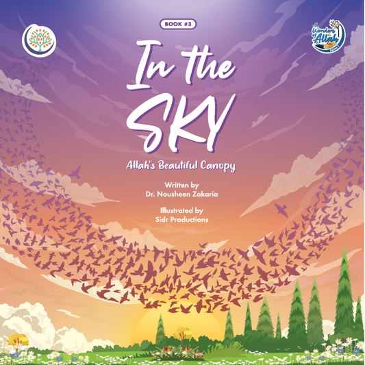 In The Sky - Allah's Beautiful Canopy