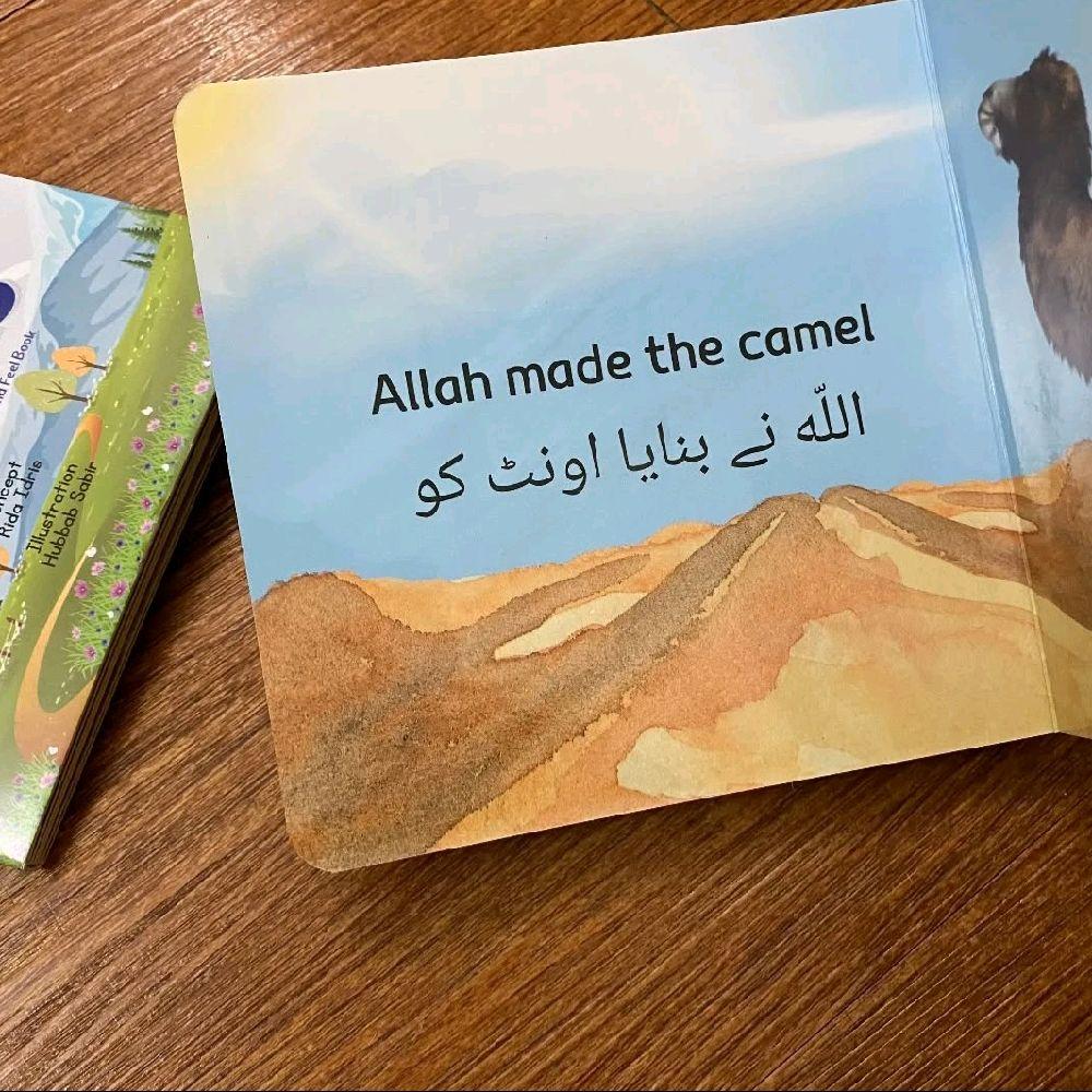 Allah Made the Animals