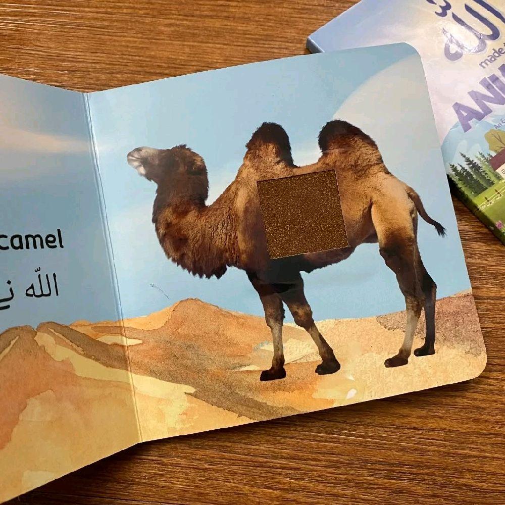Allah Made the Animals