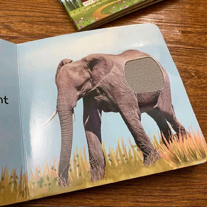 Allah Made the Animals